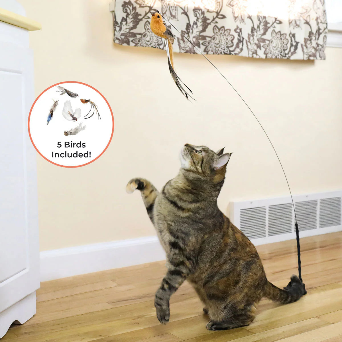 Interactive cat toy