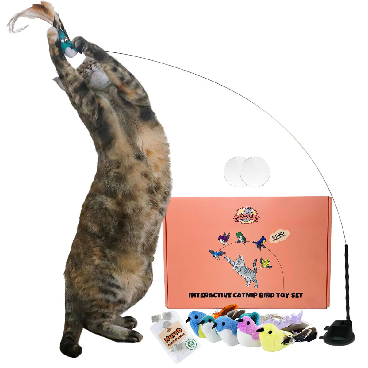 Interactive cat toy