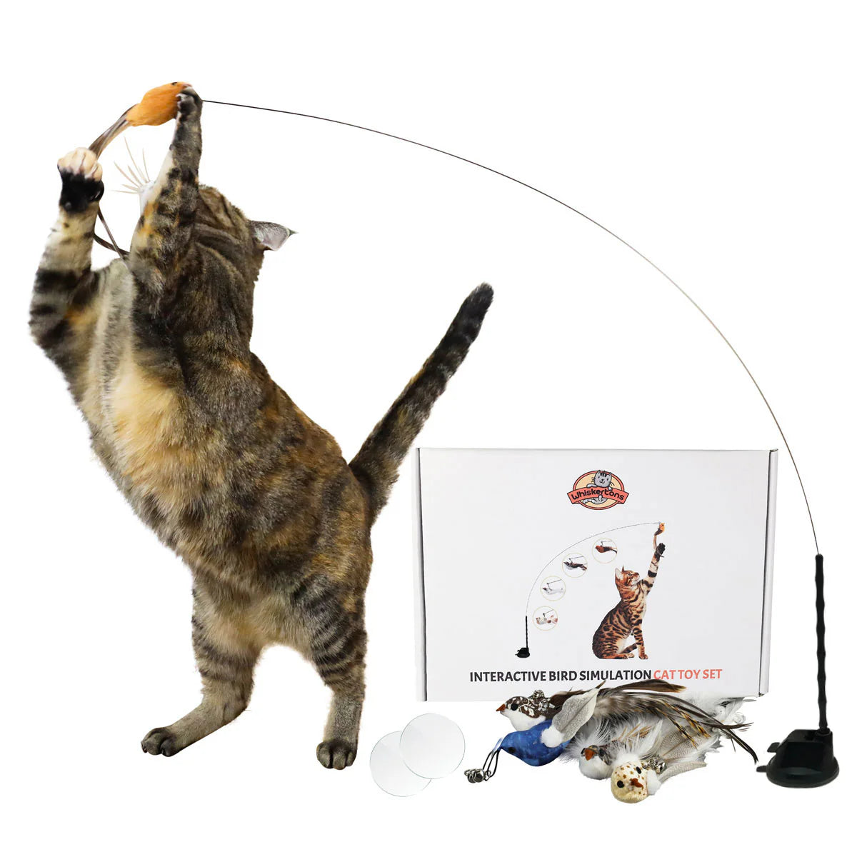 Interactive cat toy