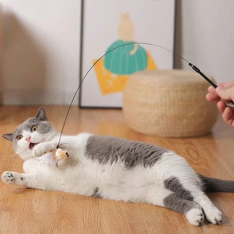 Interactive cat toy